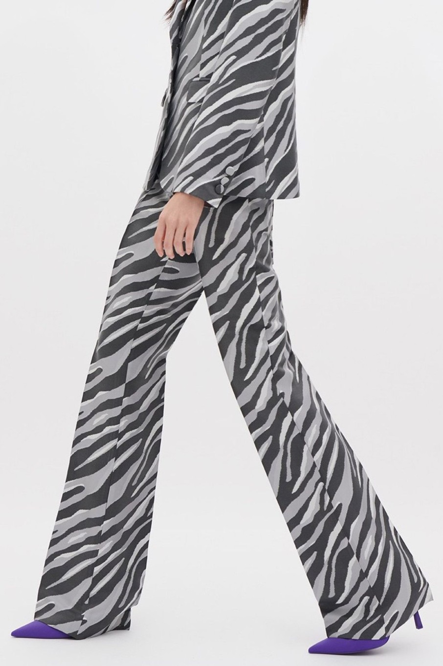 Abbigliamento Giuliette Brown | Pantaloni Stampa Zebra